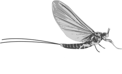 West Branch Angler