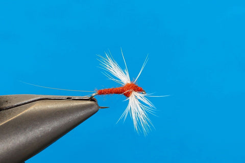 Hackle Wing Rusty Spinner